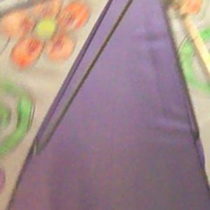 Meet your Posher, Jane